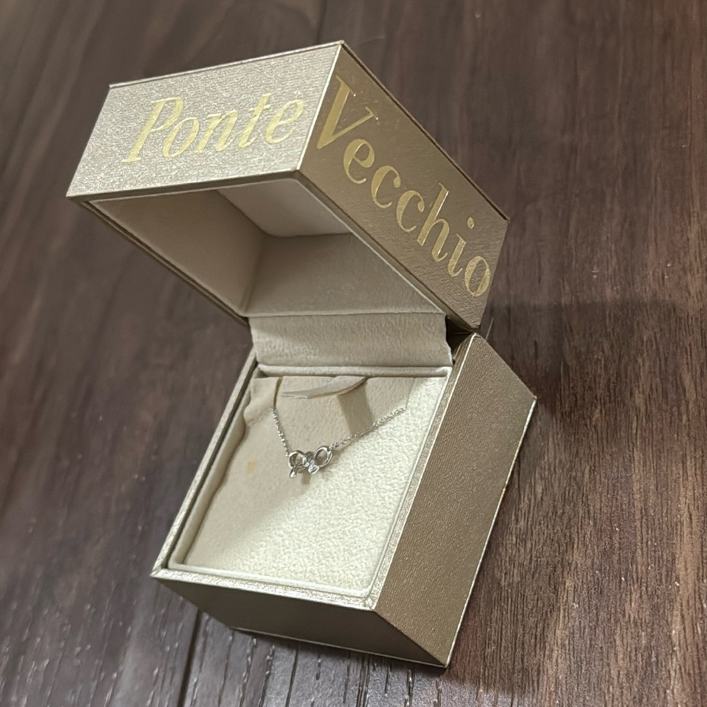 Ponte Vecchio Dainty Bow Necklace